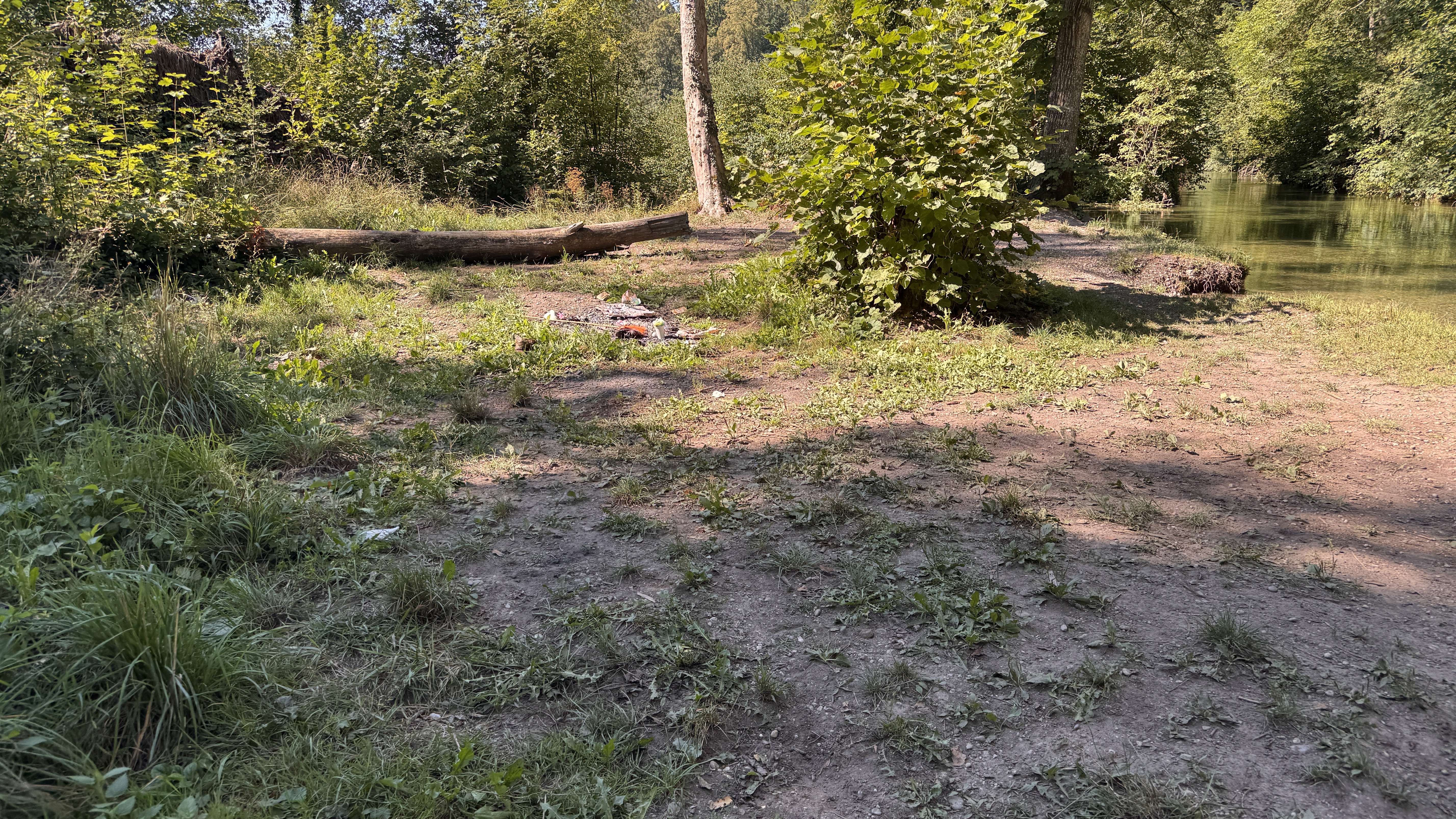 20260815_084918093_iOS.jpg
